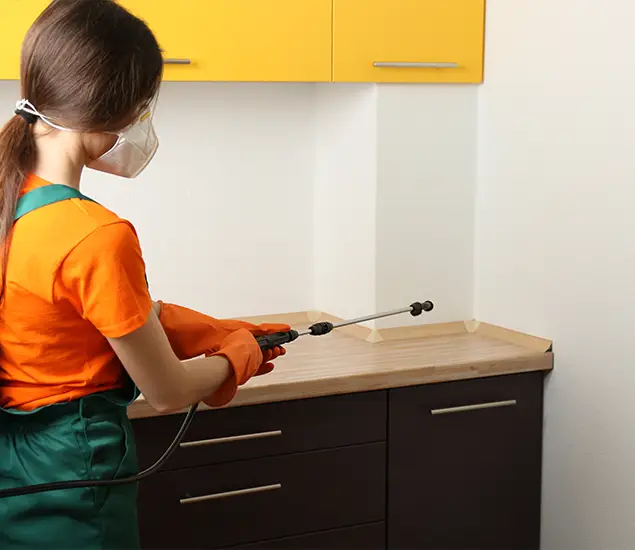 Trusted Bed Bug Pest Control Specialist in Eagle, ID
