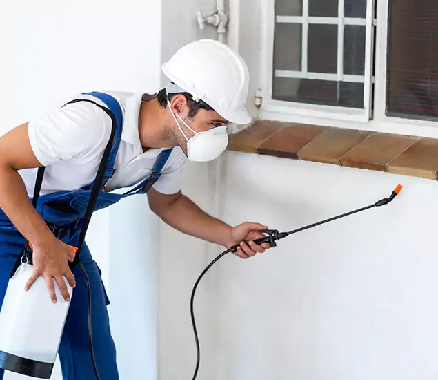 Your Professional Cockroach Exterminator in Eagle, ID