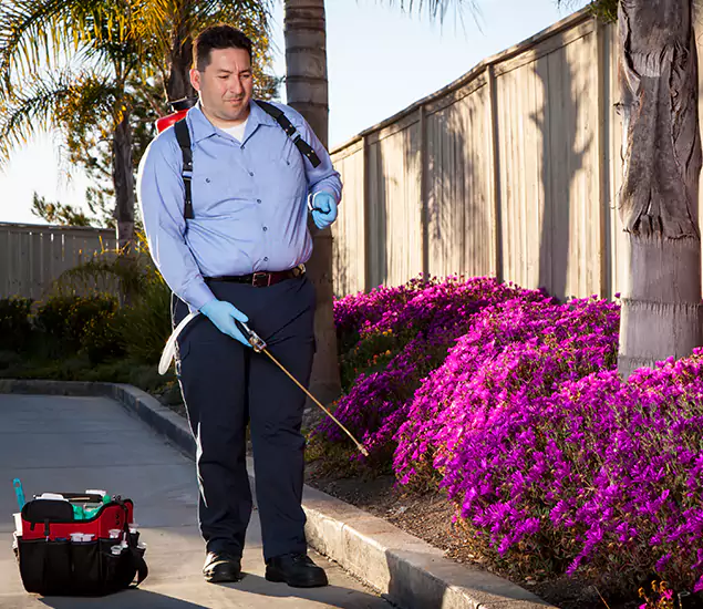 About Our Eco Safe Pest Control Experts in Eagle, ID