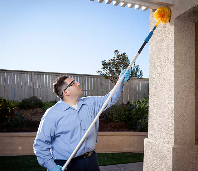 Trusted Experts in Eagle ID for Formosan Termite Treatment and Black Termite Control