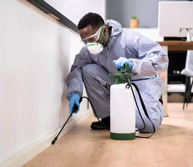 Leading Industrial Pest Control Experts Serving Eagle, ID