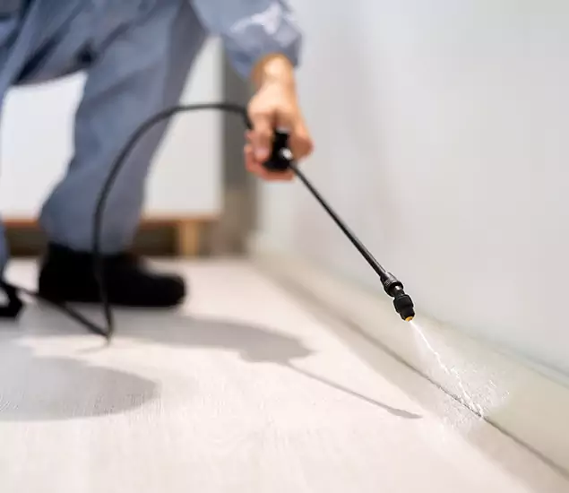 About Our Liquid Termite Treatment Experts in Eagle, ID