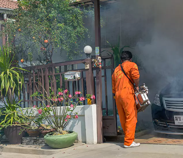 Your Proven Mosquito Fogging Company in Eagle, ID