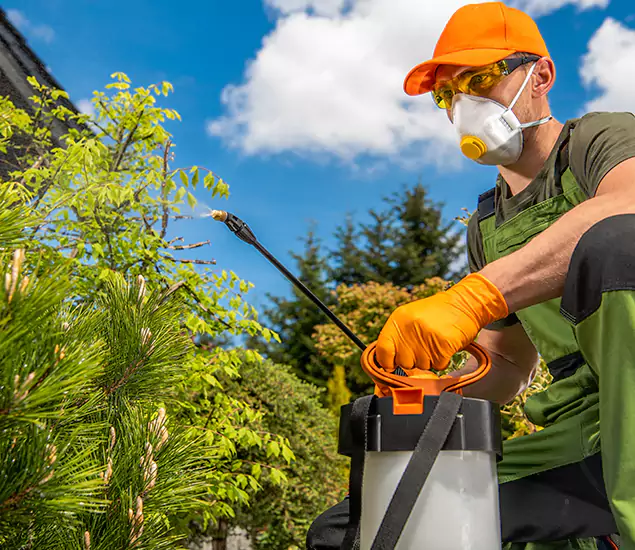 Your Best Bug Spray for Home Team in Eagle, ID