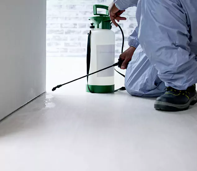 Affordable Pest Control Experts in Eagle, ID