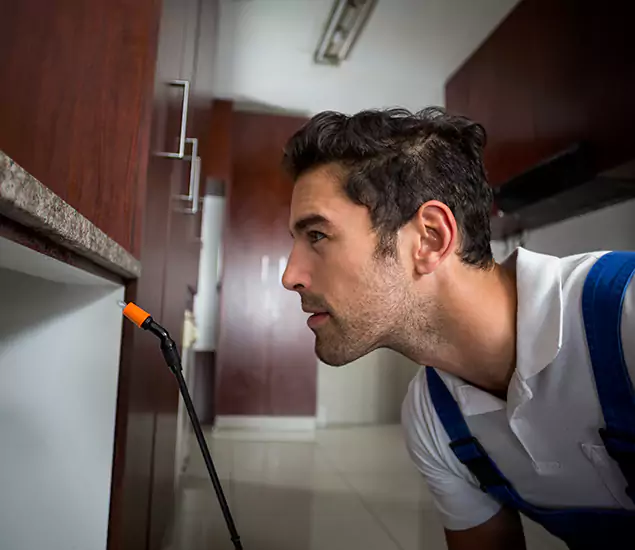 Expert Rodent in Attic Removal: Your Proven Pest Specialists in Eagle, ID
