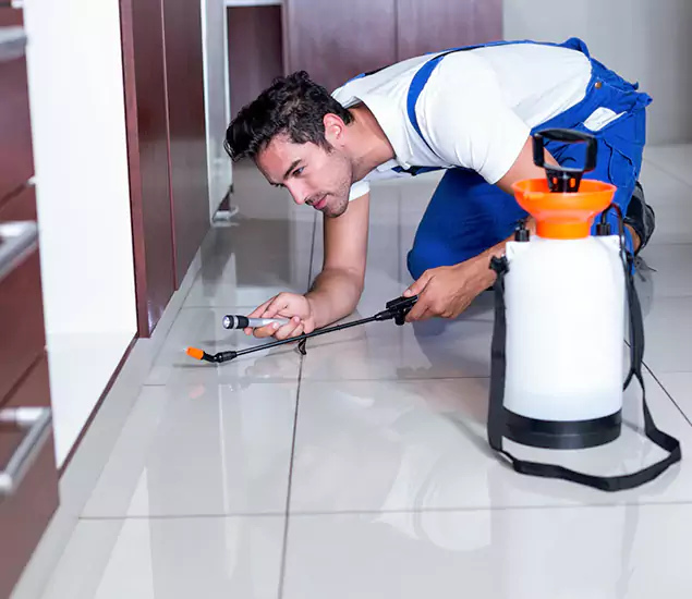 Advanced Slab Termite Treatment Experts You Can Trust&nbsp;in Eagle, ID