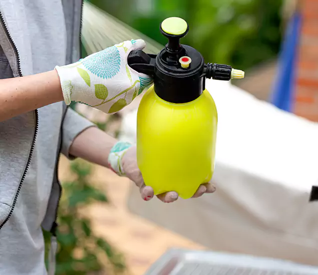 Skilled Residential Small Black Ant Service in Eagle, ID