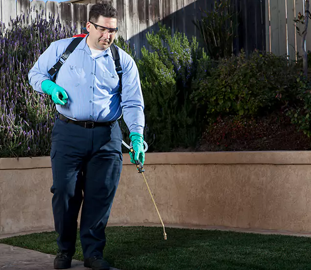 Reliable Termite Barrier Treatment Experts in Eagle, ID