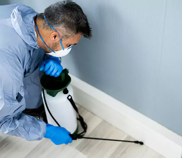 Reliable Termite Cost Experts in Eagle, ID