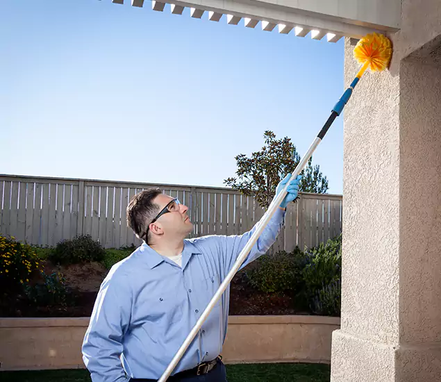 Your Trusted Wasp Removal Company in Eagle, ID
