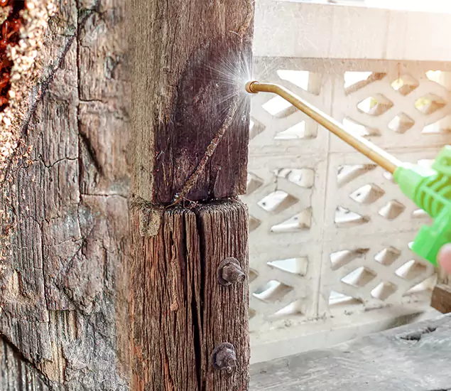 About Wood Termite Treatment Services in Eagle, ID