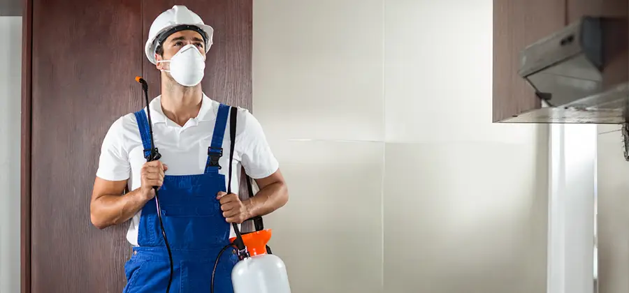 Per Room Bed Bug Cost in Eagle