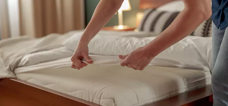 Bed Bug Extermination Services in Eagle
