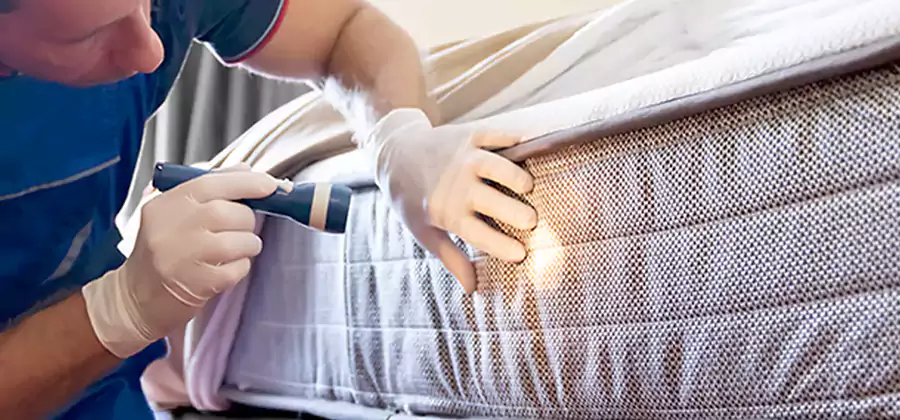 Residential Bed Bug Treatment Cost in Eagle