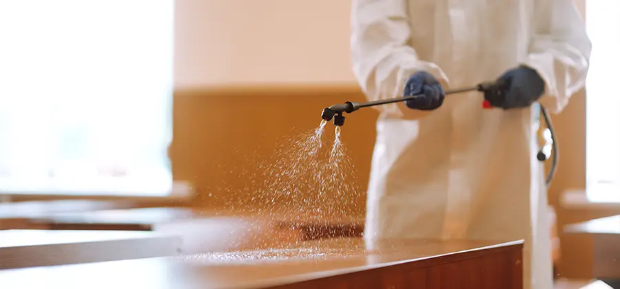 Residential Bed Bug Treatment Option in Eagle