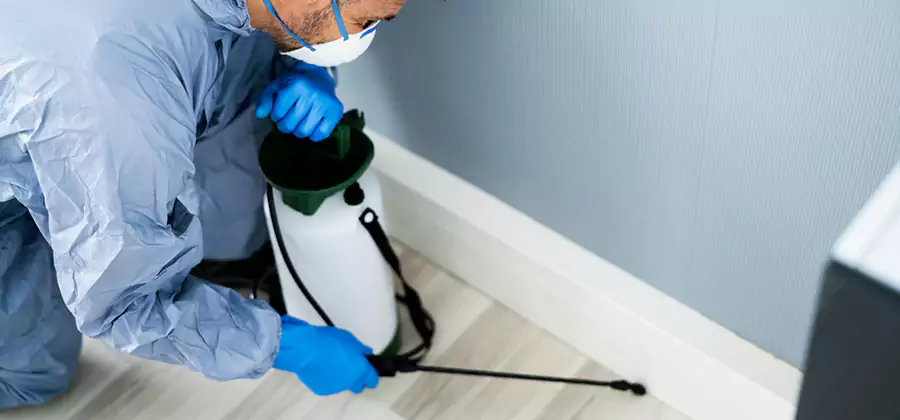 Fumigate Apartment Roaches in Eagle
