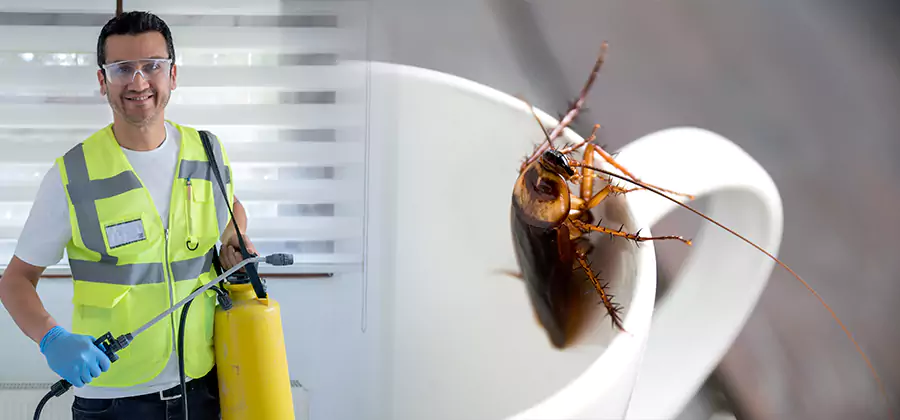 German Roach Infestation Treatment Eagle