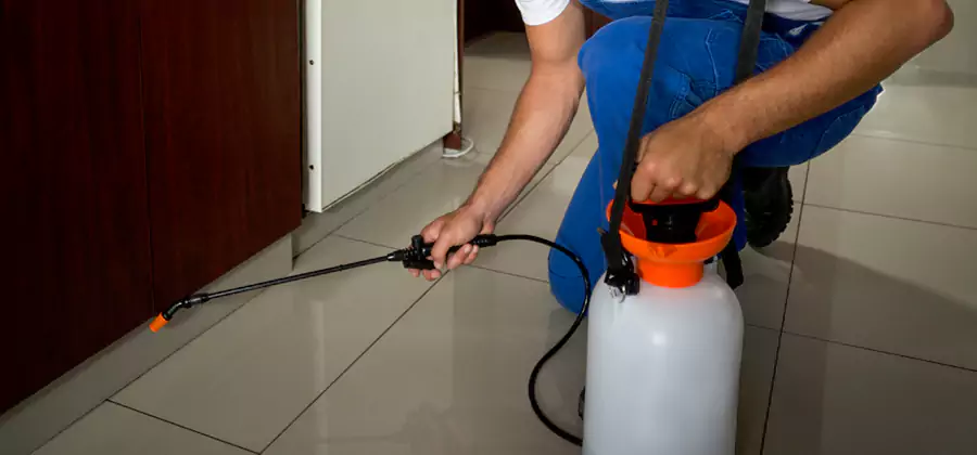Indoor Mosquito Treatment in Eagle
