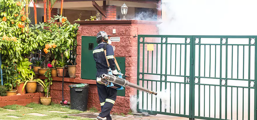 Backyard Mosquito Foggers Service in Eagle