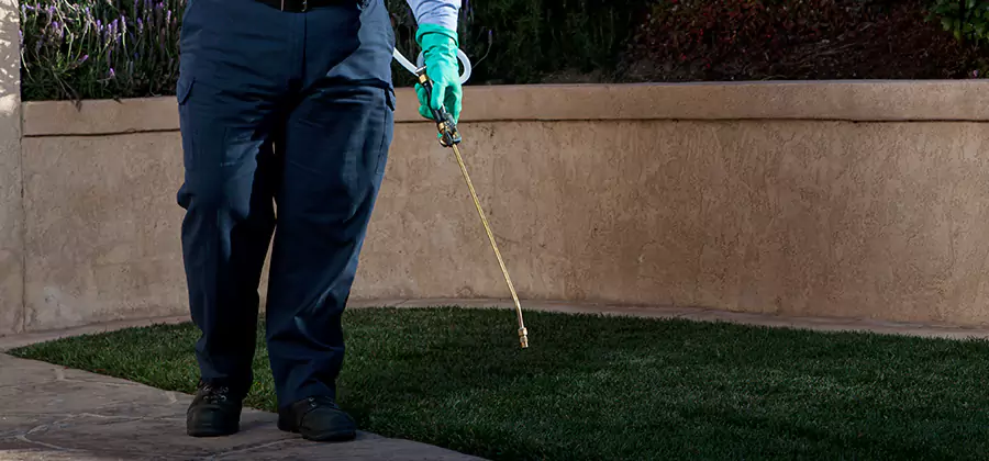 Soil Treatment for New Construction Termites in Eagle
