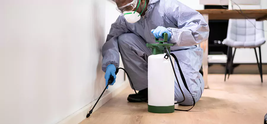 No Tent Termite Extermination With Electric Tool in Eagle
