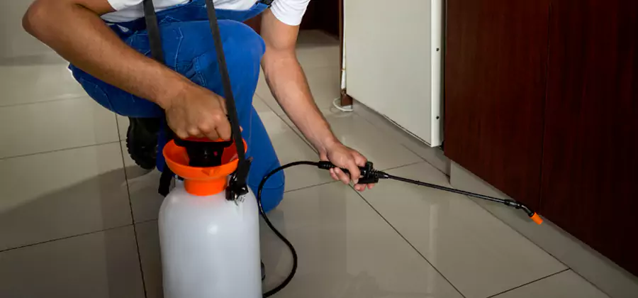 One Time Termite Control in Eagle