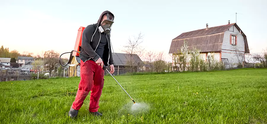 Flea and Tick Pest Control in Eagle