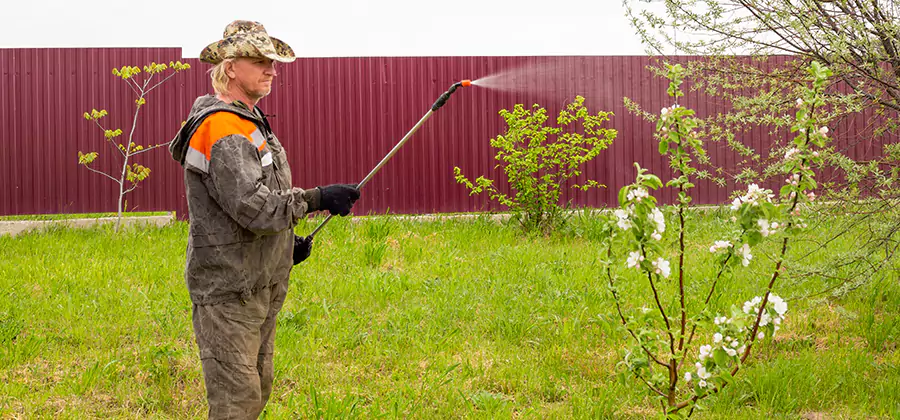 Flea and Tick Spray for Yard in Eagle