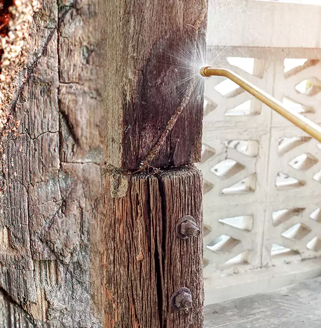 Why Choose Eagle Pest Control Pro for Attic Termite Treatment in Eagle, ID?