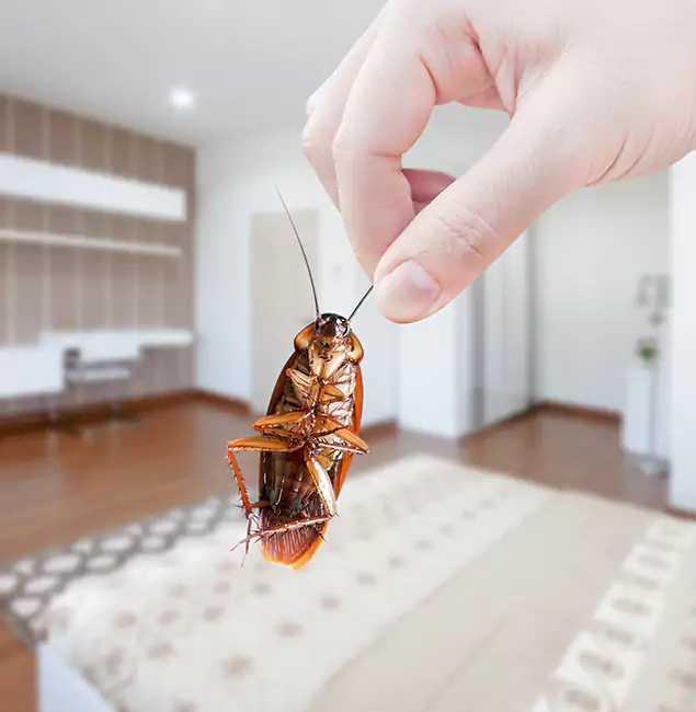 Why Eagle Pest Control Pro Stand Out for Bed Bug Fumigation in Eagle, ID?