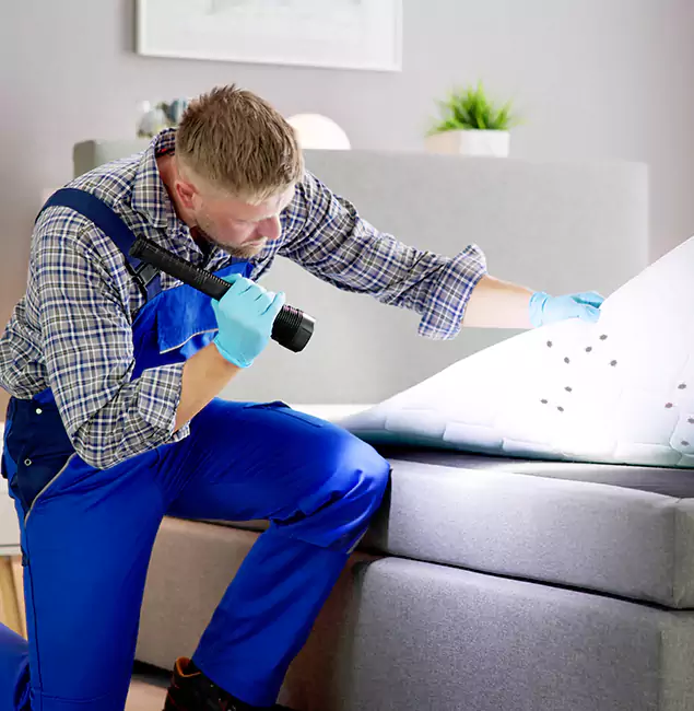 Why Choose Eagle Pest Control Pro For Bed Bug Heat Treatment in Eagle, ID?