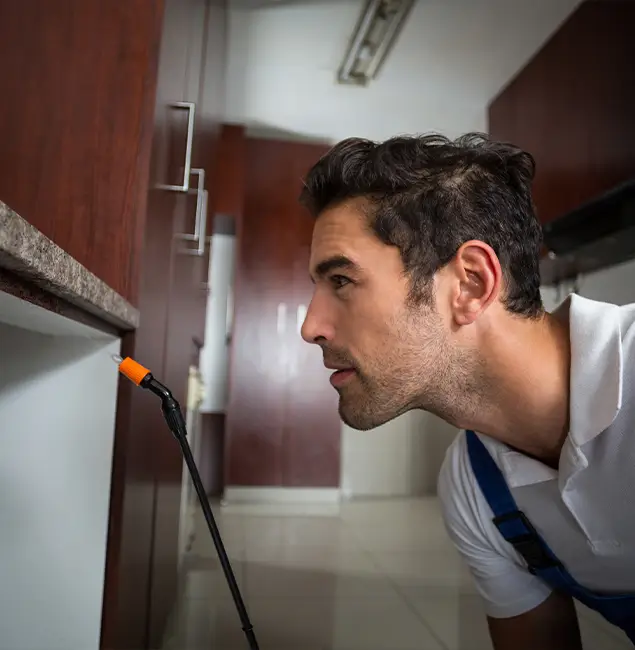 Why Choose Eagle Pest Control Pro for Bed Bug Removal Cost in Eagle, ID?