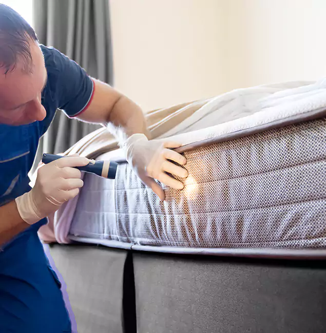 Why Choose Eagle Pest Control Pro for Bed Bug Services in Eagle, ID?