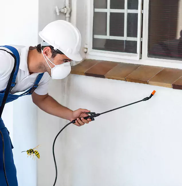Why Eagle Property Owners Choose Eagle Pest Control Pro for Bee Nest Removal?