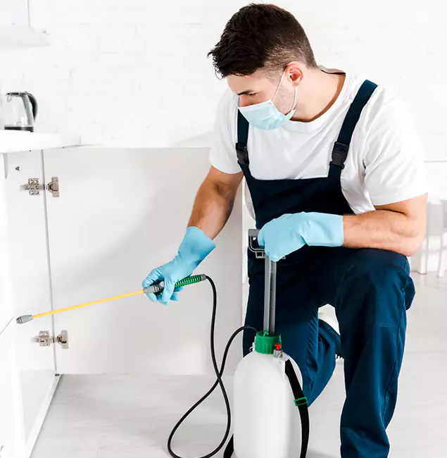Why Choose Eagle Pest Control Pro for Emergency Pest Control in Eagle?