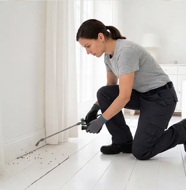 Why Eagle, ID Property Owners Trust Eagle Pest Control Pro for Fire Ant Control?