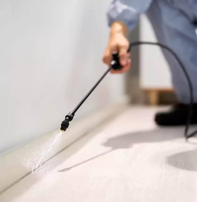 Why Choose Eagle Pest Control Pro for Termite Treatment in Eagle, ID?