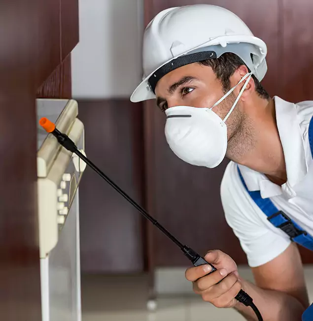 Why Eagle Homeowners Rely on Eagle Pest Control Pro for Tick Treatment?