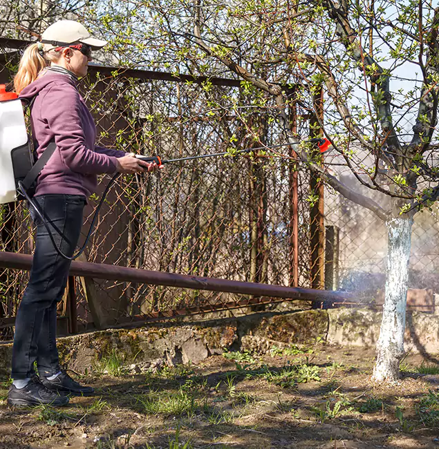 Why Eagle Homeowners Choose Eagle Pest Control Pro for Mosquito Abatement?