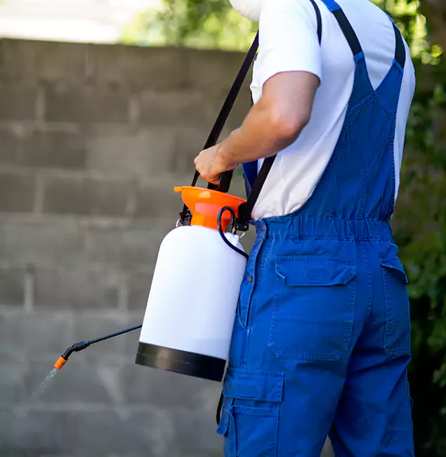 Why Eagle Homeowners Rely on Eagle Pest Control Pro for Mosquito Control?