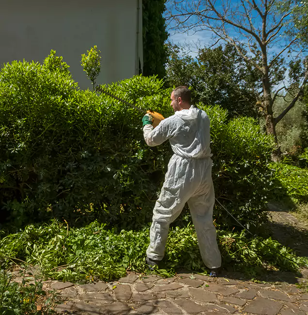 Why Eagle Pest Control Pro Leads Mosquito Control in Eagle, ID?