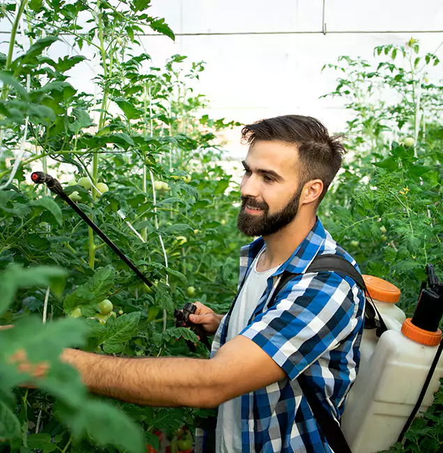 Why Eagle Homeowners Choose Eagle Pest Control Pro for Mosquito Spraying?
