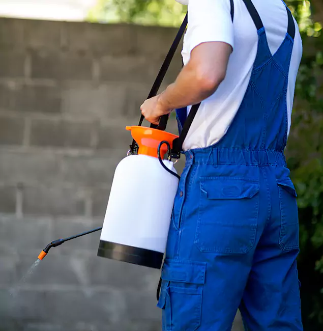 Why Eagle Pest Control Pro Delivers the Best Mosquito Control in Eagle, ID?