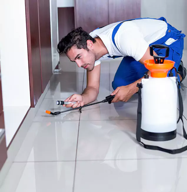 Why Eagle Pest Control Pro Is the Proven Choice in Eagle, ID?