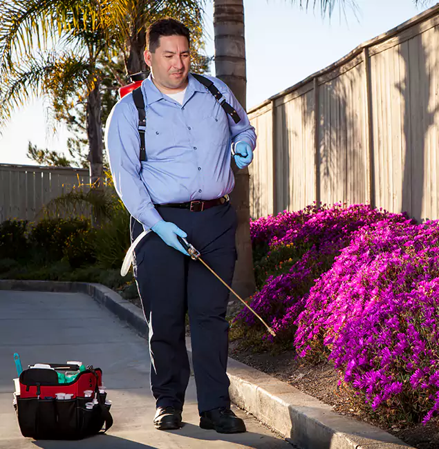 Why Choose Eagle Pest Control Pro in Eagle, ID?
