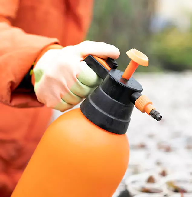 Why Choose Eagle Pest Control Pro for Orange Termite Treatment in Eagle, ID?