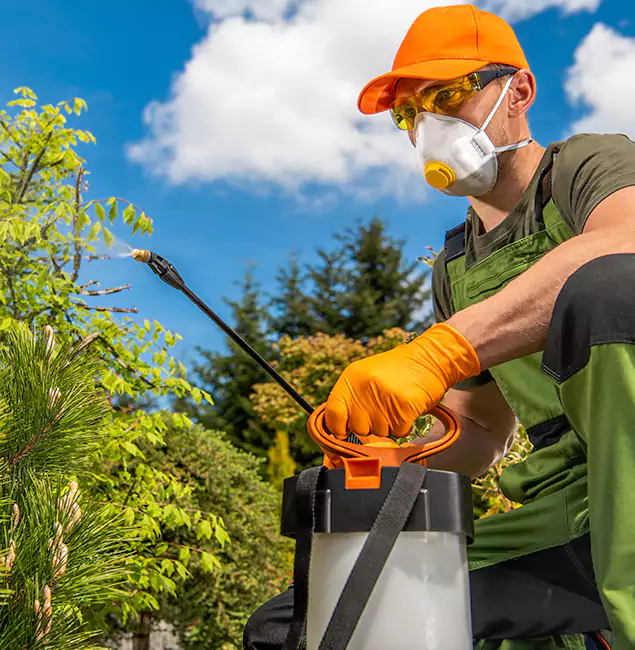 Why Choose Eagle Pest Control Pro for Outdoor Pest Control in Eagle, ID?