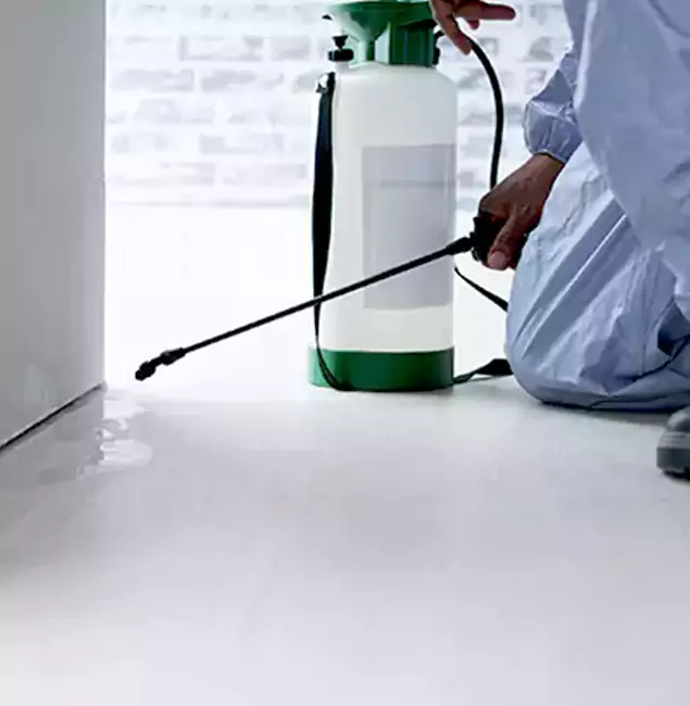 Why Choose Eagle Pest Control Pro for Rat Exterminator in Eagle, ID?