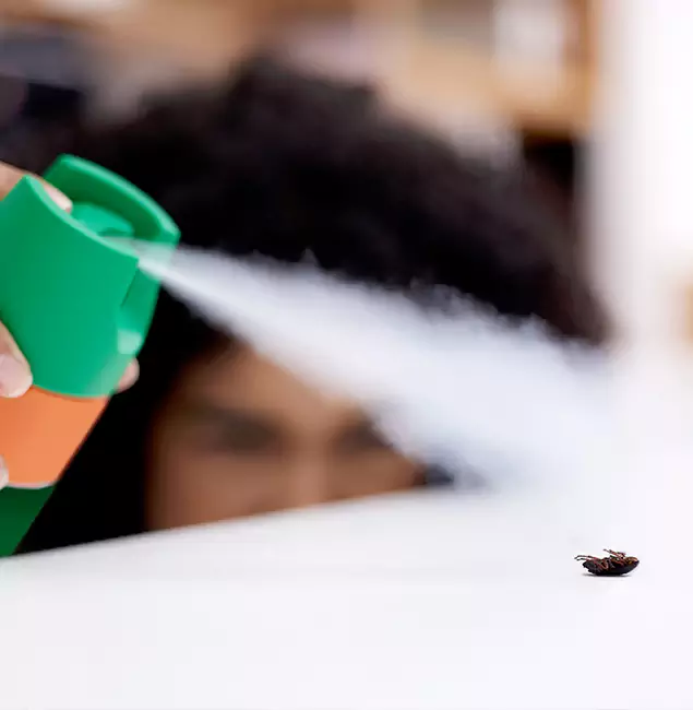 Why Eagle, ID Homeowners Choose Eagle Pest Control Pro for Roach Pest Control?
